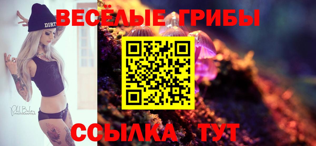 Ессентуки  Галлюциногенные грибы Psilocybine cubensis  Псилоцибиновые грибы MAGIC MUSHROOMS  Вход с VPN 